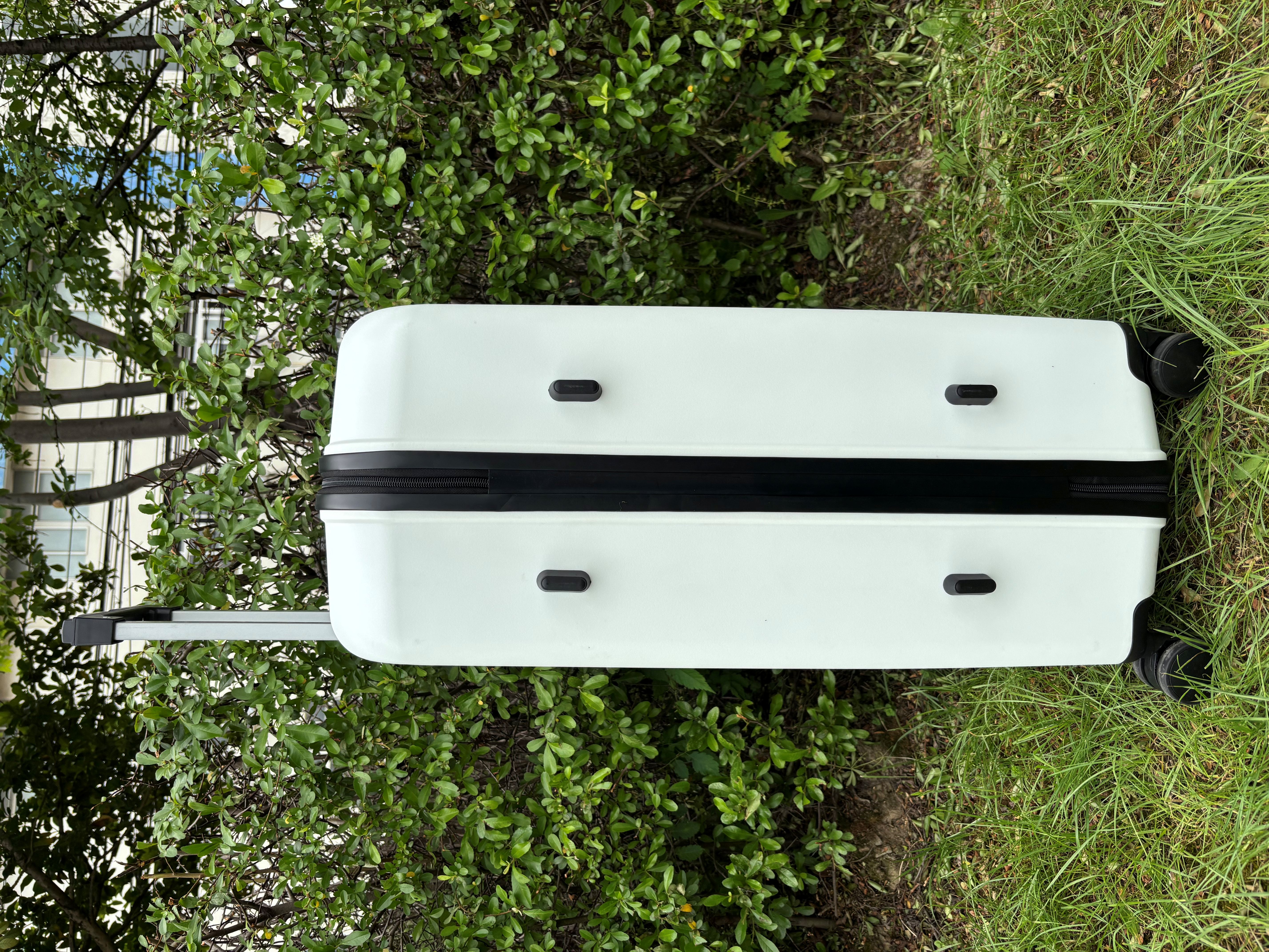 PP Sarcina vidulus 20