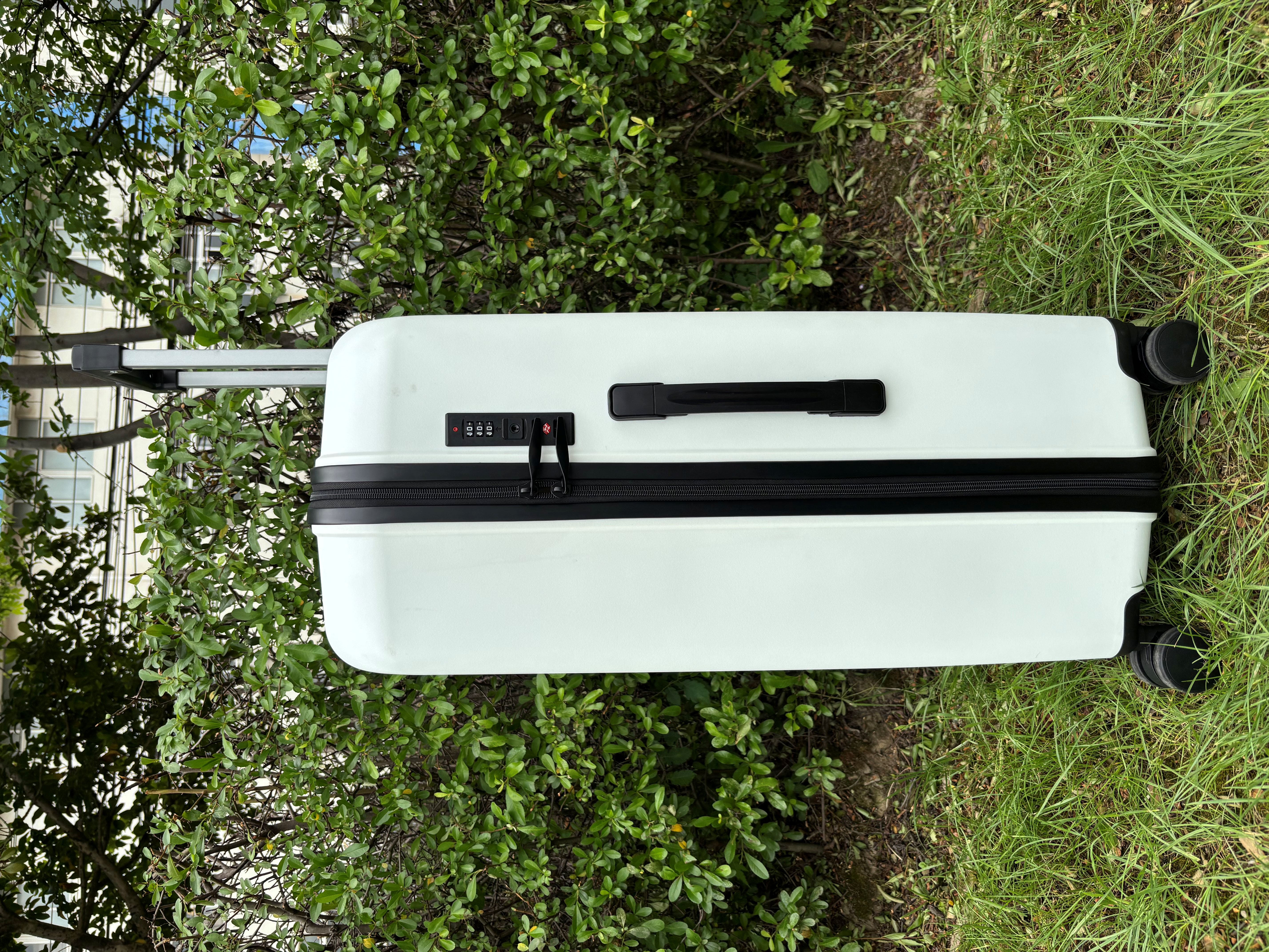 PP Sarcina vidulus 20
