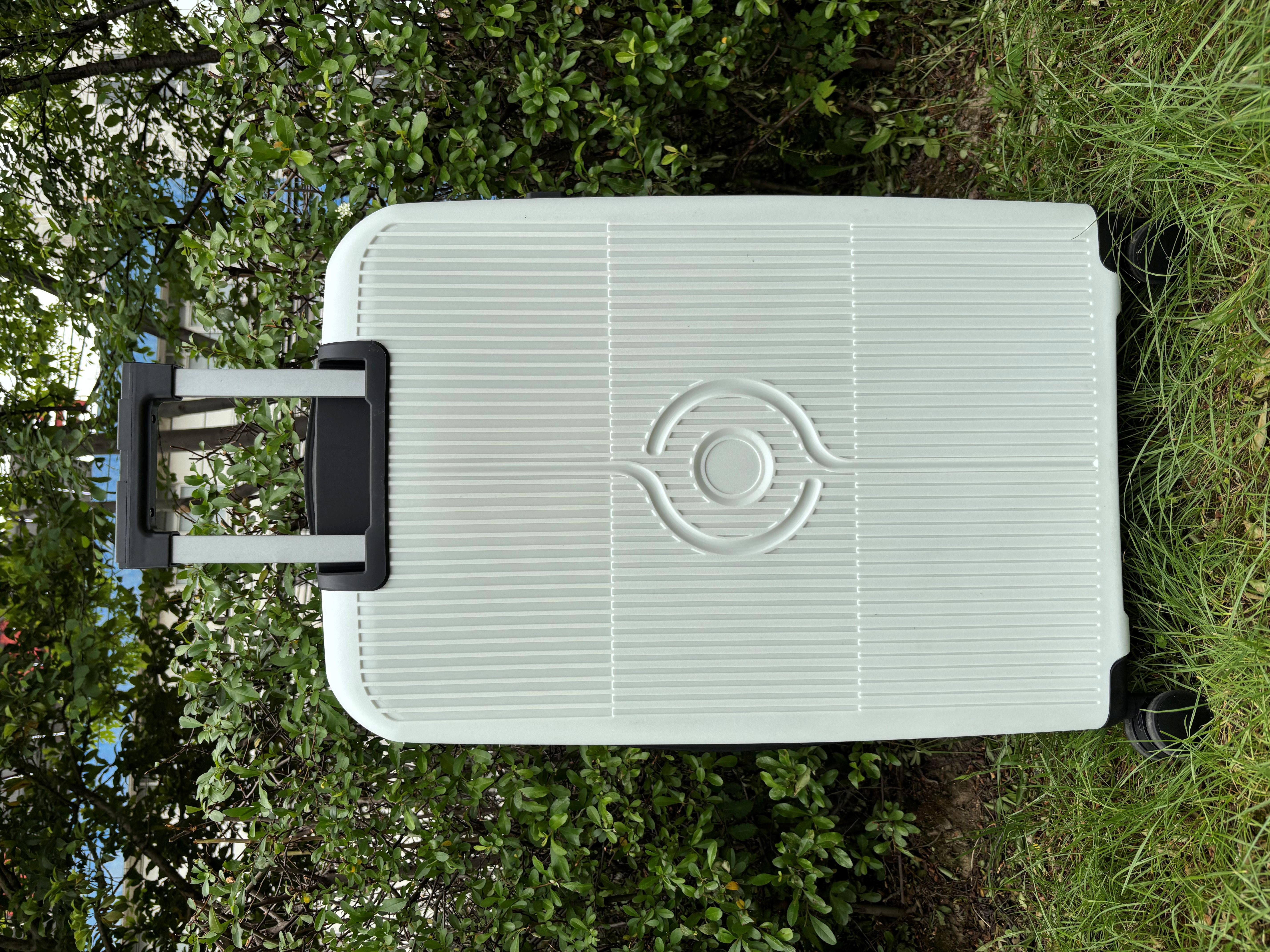 PP Sarcina vidulus 20