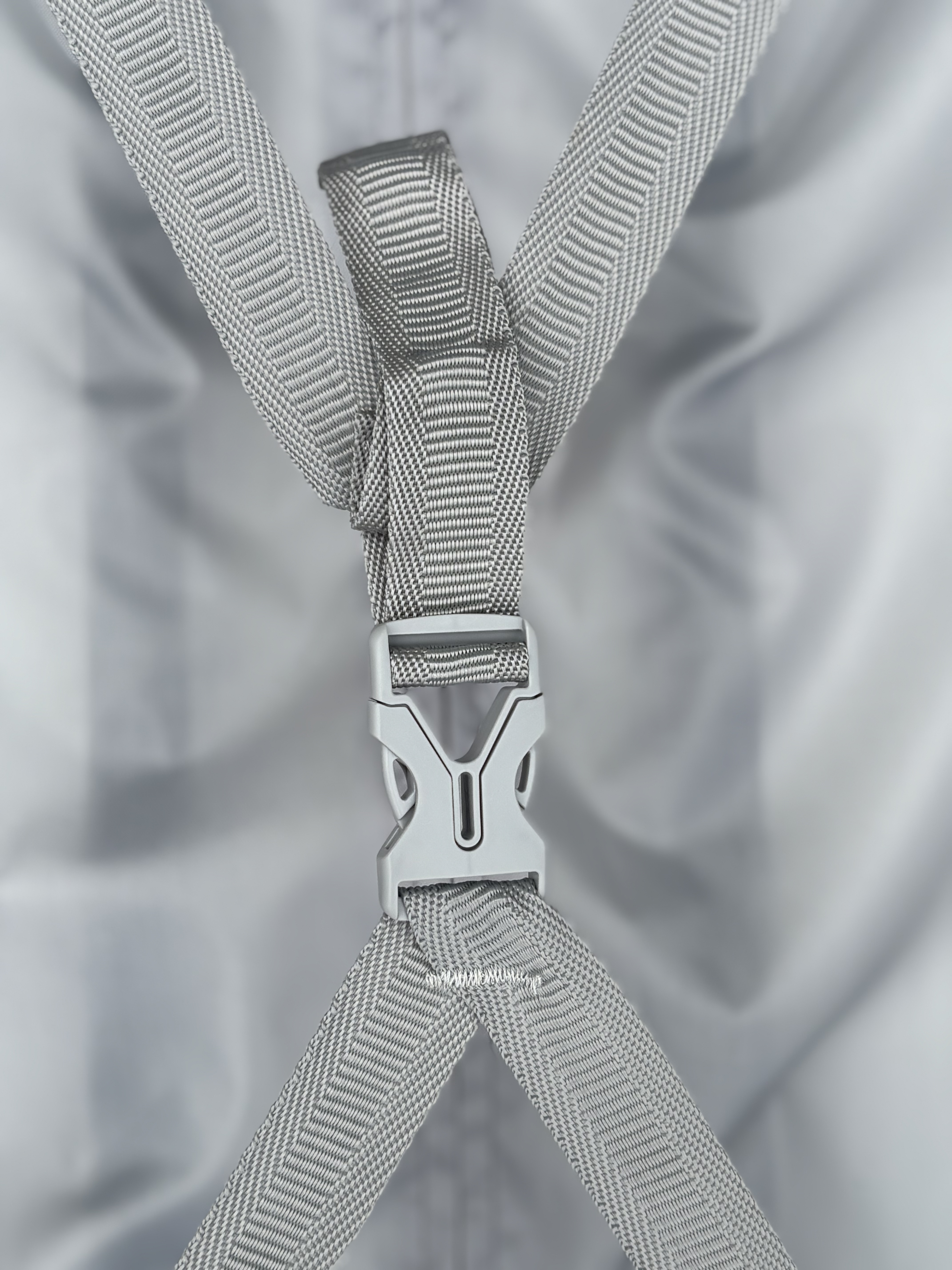 PP Sarcina vidulus 20